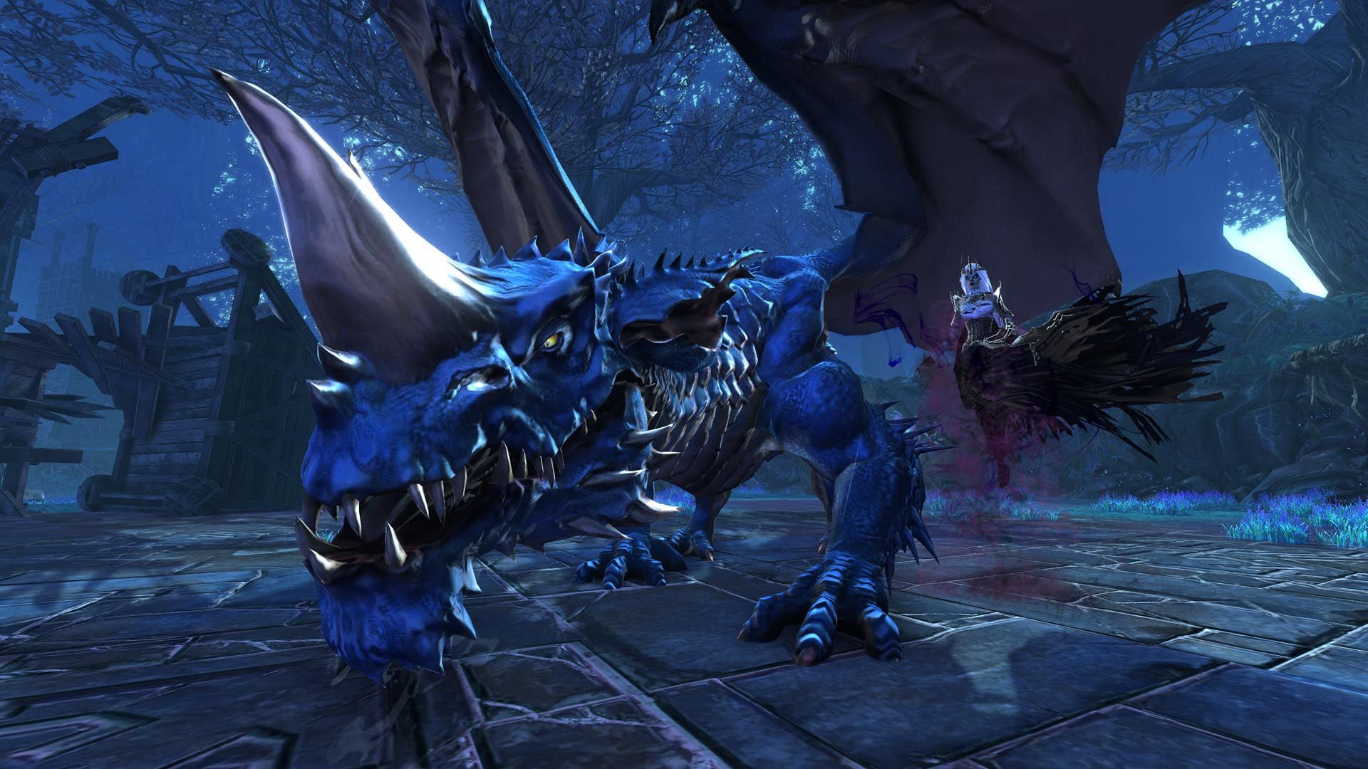 Neverwinter 